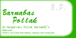 barnabas pollak business card